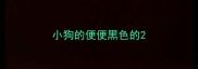 小狗的便便黑色的