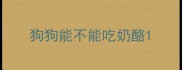 狗狗能不能吃奶酪