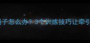 哈士奇遛狗挣脱绳子怎么办3个训练技巧让牵引绳失效变安全绳
