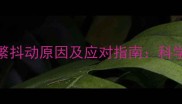 0-3月幼犬频繁抖动原因及应对指南科学护理保健康