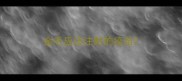 金毛应该注射的疫苗