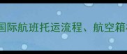 乘飞机带宠物全攻略国内国际航班托运流程航空箱标准及注意事项最新版