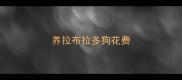 养拉布拉多狗花费