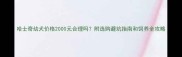 哈士奇幼犬价格2000元合理吗附选购避坑指南和饲养全攻略