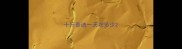 十斤泰迪一天吃多少