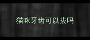 猫咪牙齿可以拔吗