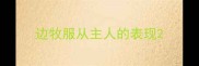 边牧服从主人的表现