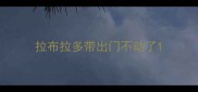 拉布拉多带出门不动了