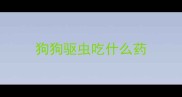 狗狗驱虫吃什么药