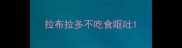 拉布拉多不吃食呕吐
