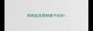 狗狗疫苗那种牌子的好