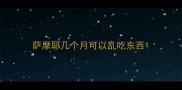 萨摩耶几个月可以乱吃东西