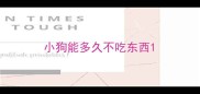小狗能多久不吃东西
