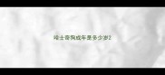 哈士奇狗成年是多少岁