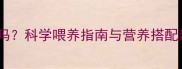 哈士奇能吃蔬菜吗科学喂养指南与营养搭配建议附食谱
