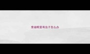 泰迪眼里有虫子怎么办