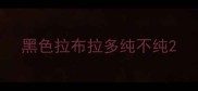 黑色拉布拉多纯不纯