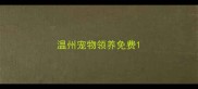 温州宠物领养免费