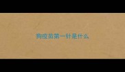 狗疫苗第一针是什么