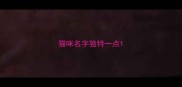 猫咪名字独特一点