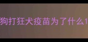 狗打狂犬疫苗为了什么