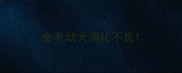 金毛幼犬消化不良