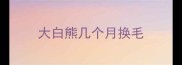 大白熊几个月换毛