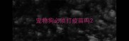 宠物狗必须打疫苗吗