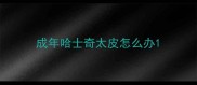 成年哈士奇太皮怎么办