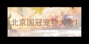 北京国冠宠物犬舍