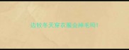 边牧冬天穿衣服会掉毛吗