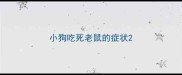 小狗吃死老鼠的症状