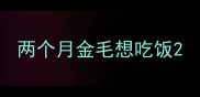 两个月金毛想吃饭