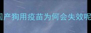 国产狗用疫苗为何会失效呢