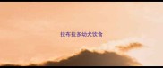 拉布拉多幼犬饮食