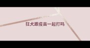狂犬跟疫苗一起打吗