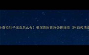 哈士奇拉肚子出血怎么办资深兽医紧急处理指南附自救清单