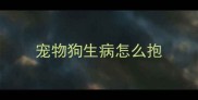 宠物狗生病怎么抱