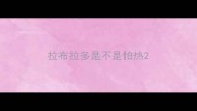 拉布拉多是不是怕热