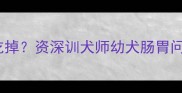 金毛吐了又吃掉资深训犬师幼犬肠胃问题的3大真相