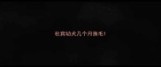 杜宾幼犬几个月换毛