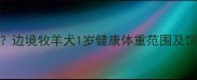 边牧一岁体重标准是多少边境牧羊犬1岁健康体重范围及饲养指南附标准体重表