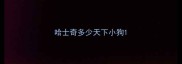哈士奇多少天下小狗