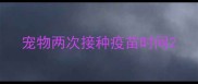 宠物两次接种疫苗时间