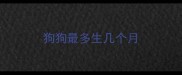 狗狗最多生几个月