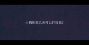 小狗到家几天可以打疫苗
