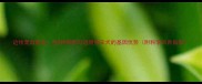 边牧混血首选这5种狗狗与边境牧羊犬的基因优势附科学饲养指南