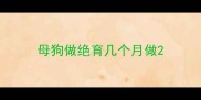 母狗做绝育几个月做