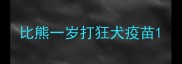 比熊一岁打狂犬疫苗