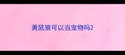 黄鼠狼可以当宠物吗